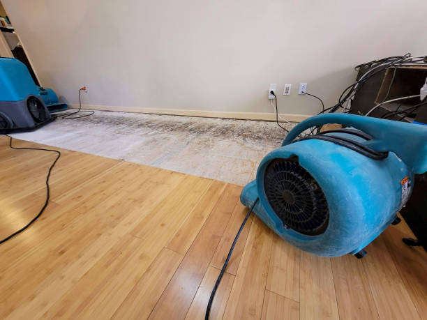 Professional Sewage Cleanup technician working in Latty, OH